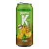 KOMBUCHA DOUTOR K GUAR ACAI ORGAN 350ML