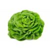 HORTI TOMILHO GAUER TEMPE