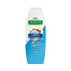 SHAMPOO DARLING TILIA 350ML