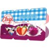 BEBIDA LACTEA BIO LAT FRUTAS SC 900G