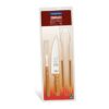 CONJ TRAMONTINA CHURRASCO 12PC