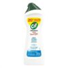 LIMPADOR VEJA LIMP PESADA PW FU CLO500ML