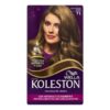 TINTA KOLESTON ACAJU 366