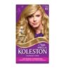 TINTA KOLESTON LOURO CZ71