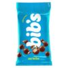 CHOCOLATE BIBS PASSAS 40G