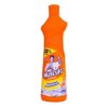 LIMPADOR VEJA LIMP PESADA ORIG PRO500ML