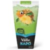 SUCO KAPO NECTAR MORANGO 200ML